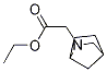 Ethyl 2-(2-azabicyclo[2.2.1]heptan-2-yl)acetate Structure,1250423-37-0Structure