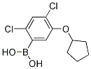 24-Dichloro-5-(cyclopentyloxy)phenylboronic acid Structure,1256354-90-1Structure