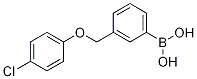 3-(4-Chlorophenoxymethyl)phenylboronic acid Structure,1256358-70-9Structure