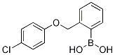 2-(4-Chlorophenoxymethyl)phenylboronic acid Structure,1256358-71-0Structure