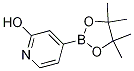 2-Hydroxypyridine-4-boronic acid pinacol ester Structure,1256358-90-3Structure