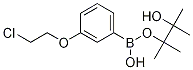 3-(2-Chloroethoxy)phenylboronic acid pinacol ester Structure,1256359-00-8Structure