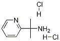 2-(2-Pyridyl)-2-propylamine dihydrochloride Structure,1256633-17-6Structure