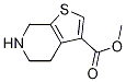 4,5,6,7-Tetrahydro-thieno[2,3-c]pyridine-3-carboxylic acid methyl ester Structure,1256813-70-3Structure