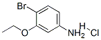 4-Bromo-3-ethoxyaniline HCl Structure,125756-95-8Structure