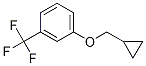 1-(Cyclopropylmethoxy)-3-(trifluoromethyl)benzene Structure,1257665-22-7Structure