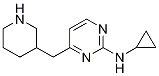 N-cyclopropyl-4-(3-piperidinylmethyl)-2-pyrimidinamine Structure,1263282-23-0Structure