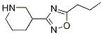 3-(5-Propyl-[1,2,4]oxadiazol-3-yl)-piperidine Structure,1270744-79-0Structure