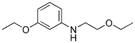 Benzenamine, 3-ethoxy-n-(2-ethoxyethyl)-(9ci) Structure,127599-45-5Structure