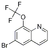 6-Bromo-8-trifluoromethoxyquinoline Structure,1280786-71-1Structure