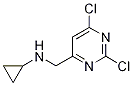 Cyclopropyl-(2,6-dichloro-pyrimidin-4-ylmethyl)-amine Structure,1289387-98-9Structure