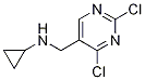 Cyclopropyl-(2,4-dichloro-pyrimidin -5-ylmethyl)-amine Structure,1289388-21-1Structure