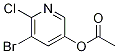 5-Bromo-6-chloropyridin-3-yl acetate Structure,130284-55-8Structure