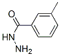 3-Methyl-benzoylhydrazide Structure,13050-47-0Structure