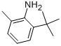 2-(Tert-butyl)-6-methylaniline Structure,13117-94-7Structure