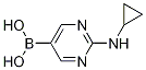 2-(Cyclopropylamino)pyrimidine-5-boronic acid Structure,1312942-14-5Structure