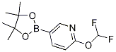 2-(Difluoromethoxy)-5-(4,4,5,5-tetramethyl-1,3,2-dioxaborolan-2-yl)pyridine Structure,1333222-12-0Structure