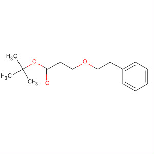 Tert-butyl 3-(2-phenylethoxy)propanoate Structure,133803-49-3Structure