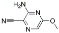 Pyrazinecarbonitrile, 3-amino-5-methoxy-(9ci) Structure,135291-84-8Structure