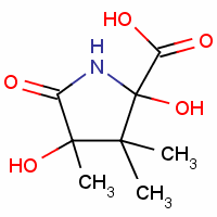 2,4-Dihydroxy-3,3,4-trimethylpyroglutamic acid Structure,143785-44-8Structure