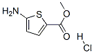 5-Aminothiophene-2-carboxylicmethylesterhydrochloride Structure,14597-57-0Structure