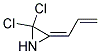 Aziridine, 2,2-dichloro-3-(2-propenylidene)-(9ci) Structure,148693-63-4Structure