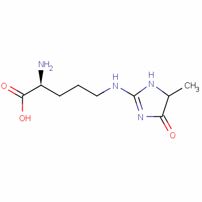 (2S)-2-amino-5-[(4-methyl-5-oxo-1,4-dihydroimidazol-2-yl)amino]pentanoic acid Structure,149204-50-2Structure