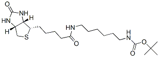 2-Methyl-2-propanyl [6-({5-[(3as,4s,6ar)-2-oxohexahydro-1h-thieno[3,4-d]imidazol-4-yl]pentanoyl}amino)hexyl]carbamate Structure,153162-70-0Structure