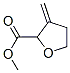 2-Furancarboxylicacid,tetrahydro-3-methylene-,methylester(9ci) Structure,155190-06-0Structure