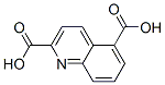 2,5-Quinolinedicarboxylicacid(9ci) Structure,155602-27-0Structure