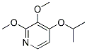 Pyridine, 2,3-dimethoxy-4-(1-methylethoxy)-(9ci) Structure,158150-21-1Structure