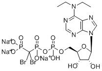 6-N,N-Diethyl-d-beta-gamma-dibromomethylene ATP Structure,160928-38-1Structure