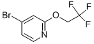 4-Bromo-2-(2,2,2-trifluoroethoxy)pyridine Structure,161952-62-1Structure