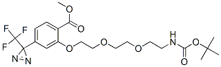 Methyl 2-[(2,2-dimethyl-4-oxo-3,8,11-trioxa-5-azatridecan-13-yl)oxy]-3-[3-(trifluoromethyl)-3h-diaziren-3-yl]benzoate Structure,165963-73-5Structure