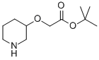 Tert-butyl 2-(piperidin-3-yloxy)acetate Structure,166953-53-3Structure