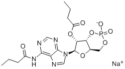 Bucladesine Structure,16980-89-5Structure