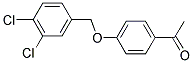 1-(4-[(3,4-Dichlorobenzyl)oxy]phenyl)ethan-1-one Structure,170916-55-9Structure