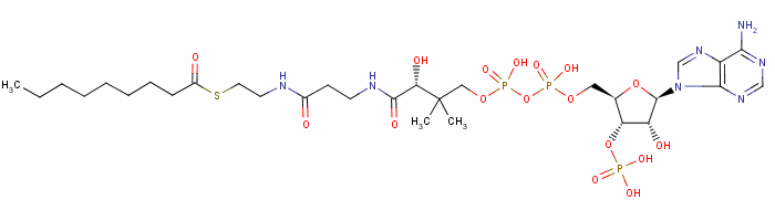 Nonanoyl-Coenzyme A Structure,17331-98-5Structure