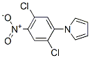 1-(2,5-Dichloro-4-nitrophenyl)-1h-pyrrole Structure,175135-54-3Structure