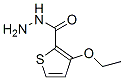 3-Ethoxythiophene-2-carbohydrazide Structure,175137-40-3Structure