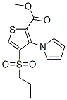 Methyl 4-(propylsulfonyl)-3-(1h-pyrrol-1-yl)thiophene-2-carboxylate Structure,175201-78-2Structure