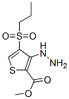 Methyl 3-hydrazino-4-(propylsulfonyl)thiophene-2-carboxylate Structure,175202-01-4Structure