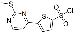 5-[2-(Methylthio)pyrimidin-4-yl]thiophene-2-sulfonyl chloride Structure,175202-76-3Structure