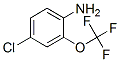 4-Chloro-2-(trifluoromethoxy)aniline Structure,175205-77-3Structure