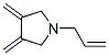 Pyrrolidine, 3,4-bis(methylene)-1-(2-propenyl)- (9ci) Structure,176249-80-2Structure