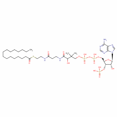 Coenzyme a-s-hexadecanoate Structure,1763-10-6Structure