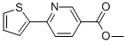 Methyl 6-thien-2-ylnicotinate Structure,179408-53-8Structure