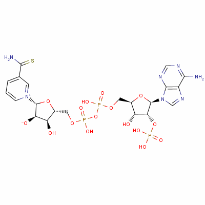 Thionicotinamide adenine dinucleotidephosphate sodium salt Structure,19254-05-8Structure