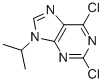 2,6-Dichloro-9-isopropyl-9h-purine Structure,203436-45-7Structure