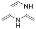 Pyrimidine, 1,2,3,4-tetrahydro-2,4-bis(methylene)- (9ci) Structure,208994-78-9Structure